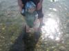 Summer 2007 068